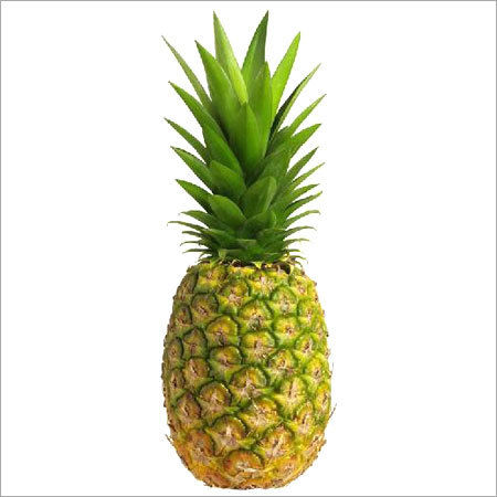 Organic Farm Fresh Pineapple