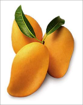 Fresh Mangoes