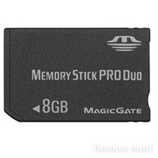 Memory Stick Pro Duo Card