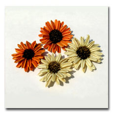 Natural Dried Til Sunflower