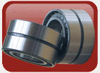 Double Row Full Complement Cylindrical Roller Bearing