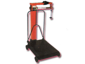 Loose Weight Type Platform Scale