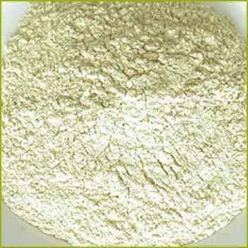 White Onion Powder