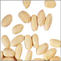 Blanched Peanuts