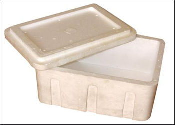 White EPS Ice Box