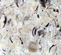 Dual Colour Shellstone Limestone Slab Application: Construction