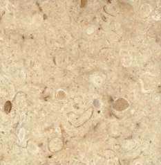 Fascinating Coquina Limestone Slab Application: Construction