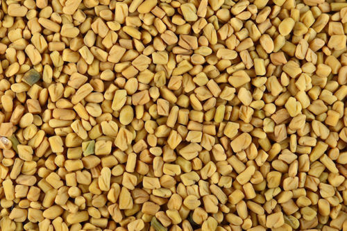 Dried Fenugreek Seeds (Methi Seeds)