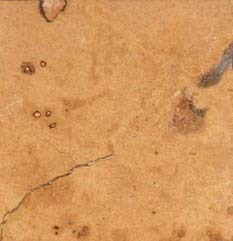 Plain Ticul Limestone Slab Application: Construction
