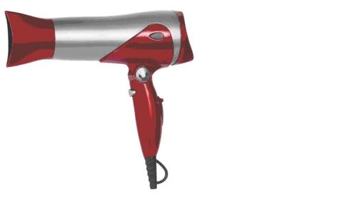 Professional Hair Dryer