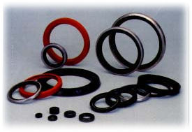 O Ring Round Shape Oil Seals