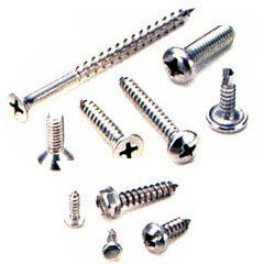 Stainless Steel Screw