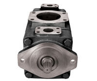 Metal Black Double Vane Pump