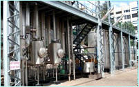 Evaporated Milk Plant