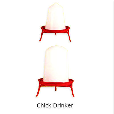Chick Drinker