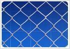Chain Link Fence