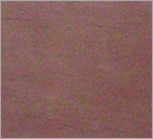 Agra Red Sandstone