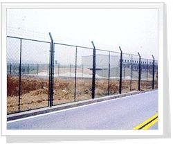 Wire Mesh Fences