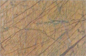 RAIN FOREST GOLD ANTIQUE MARBLE