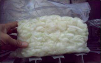 Vacuum Packed Onion