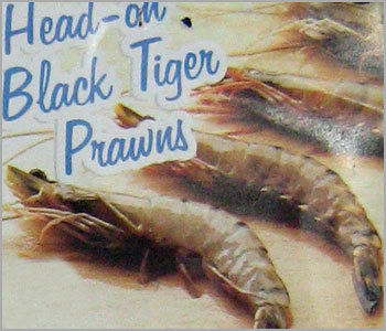 Head On Black Tiger Prawns