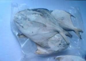 Silver Pomfret