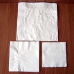 Paper Airline Plain White Napkin