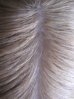 Injected Lace Human Hair Wig