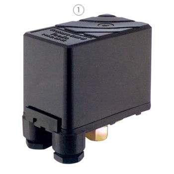 Black Colour Pump Pressure Controller Size: As Per Demand