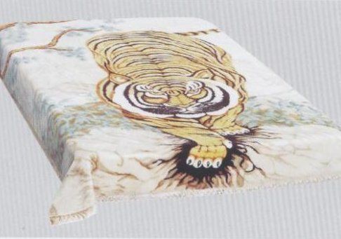 Various Multicolour Printed Polyester Blanket