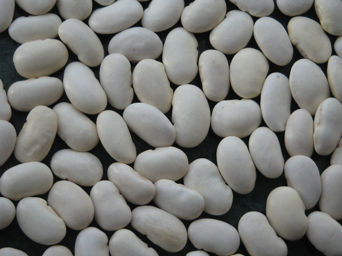 Pure White Kidney Beans