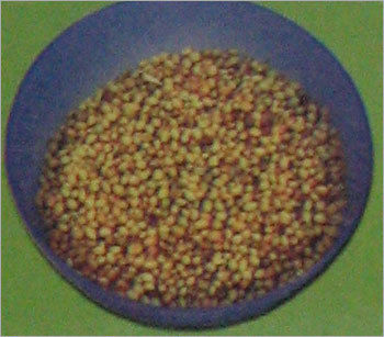 Coriander Seeds