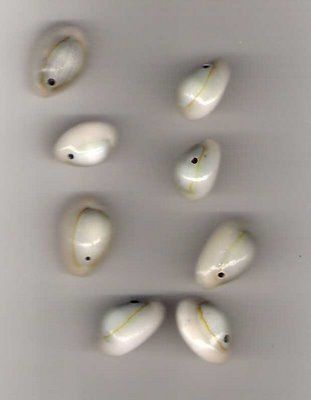 Cowry