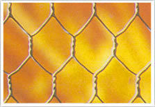Hexagonal Wire Netting Mesh