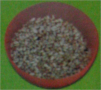 Safflower Seed