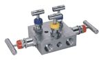 Five Way Manifold Valve