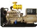 Diesel Generator Sets