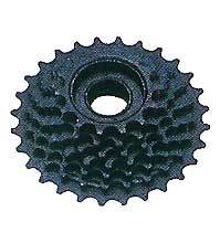 Multispeed Freewheel