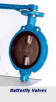 BUTTERFLY VALVE