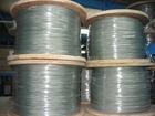 Stainless Steel Wire