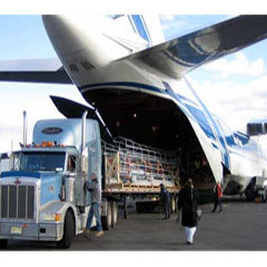 Air Freight Forwarding By INTIME FREIGHT & FORWARDERS PVT LTD
