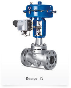 TWO WAY GLOBE CONTROL VALVES