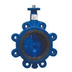 Butterfly Valves