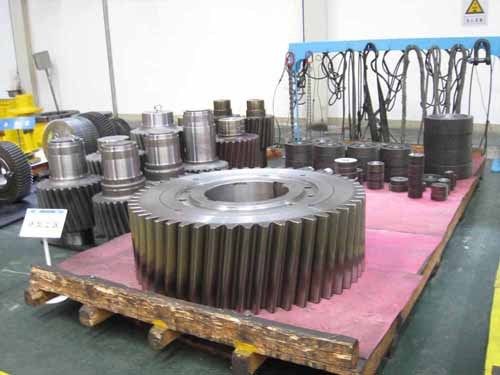 Large Module Worm Gear