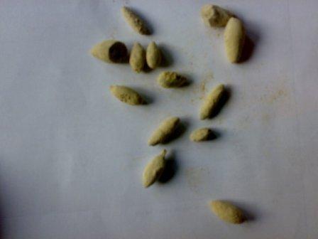 Silicate Of Lime