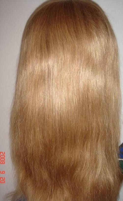 Human Hair Wigs