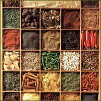 INDIAN SPICES