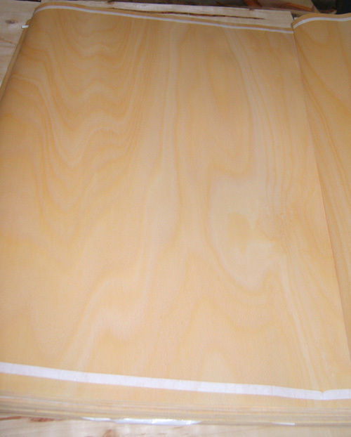 Rotary cut Beech Veneer