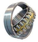 Ball & Roller Bearings