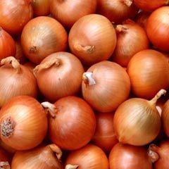 Fresh Onions